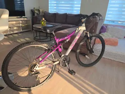 Nakamura 26-Inch Mountain Bike – Needs Gear Repair, View more