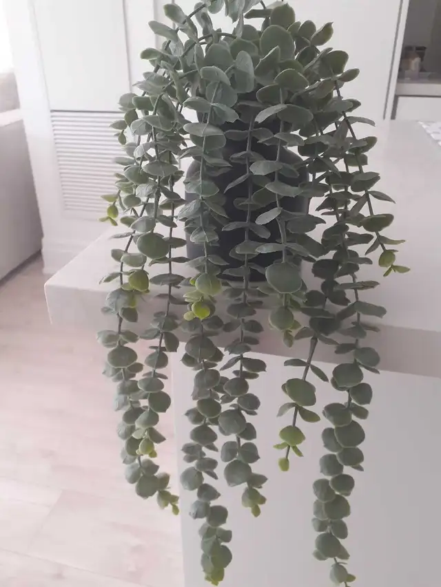 Artificial plant / desk clock in Home Décor & Accents in Markham / York Region - Image 4