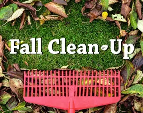 Offering Snow Removal in Lethbridge64612063779459121