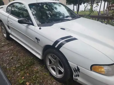 1997 mustang great shape. No leaks and AC works. Asking 5900 OBO. Very cheap to drive. I have it on...