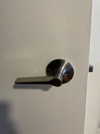 Passage/Privacy Interior Door Handles