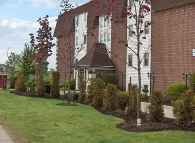Spacious 1br apartment near Trinity Power Centre!