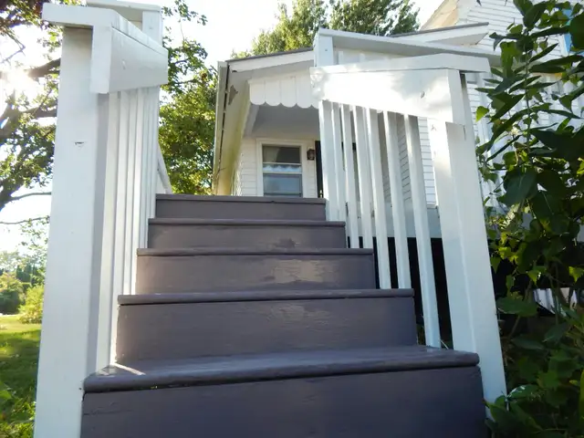 Professional painter 460987400832296963