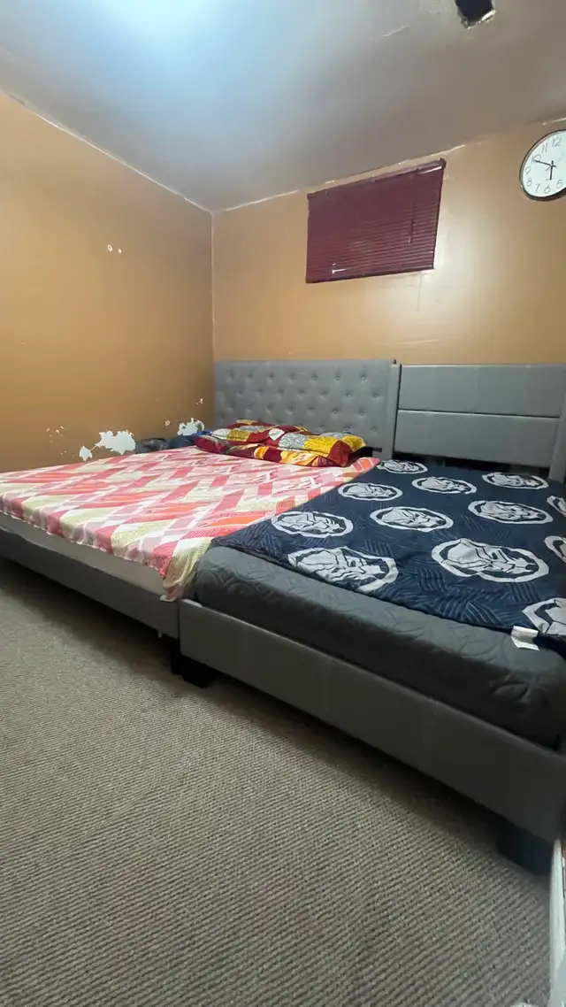 1+ Bed 1 Bath Walkout basement for rent near square one in Long Term Rentals in Mississauga / Peel Region - Image 7