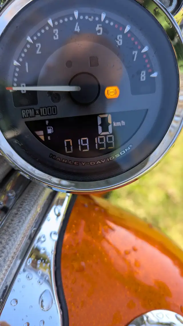 Harley Softail Breakout in Street, Cruisers & Choppers in Québec City - Image 3