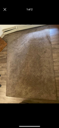 Living room carpet 