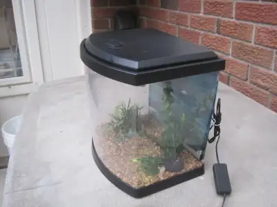 3 GALLON AQUARIUM, View more
