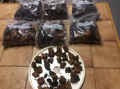 Chaga chunks, View more