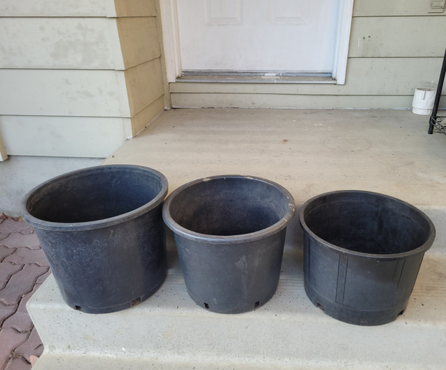 3 large plants pots in Plants, Fertilizer & Soil in Calgary