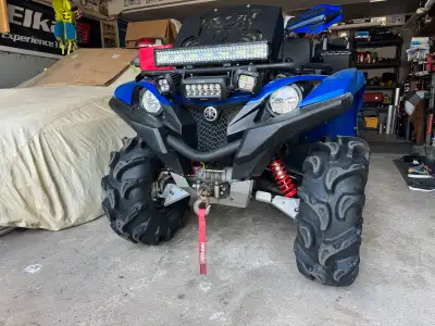 2017 grizzly with power steering just under 4300 km (245 Hours) I have owned it since 2019. Has wild...