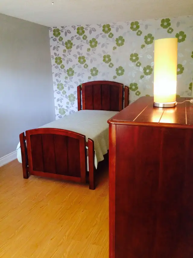 Large Furnished 2 Rooms Available Immediately – UTM