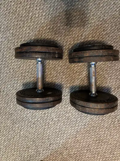 50 lbs pair of Dumbbells , View more