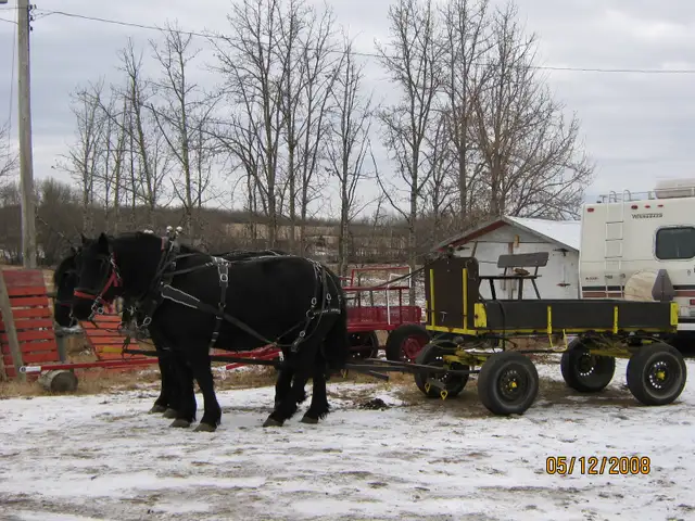 ISO partners65048424612099120