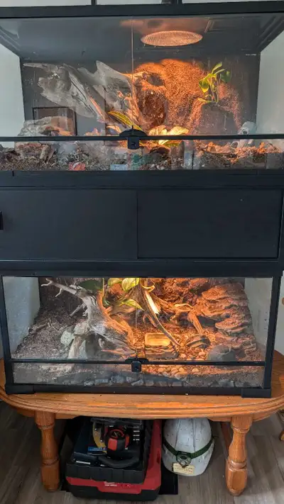 2 Bioactive aquariums  with WiFi timers, View more
