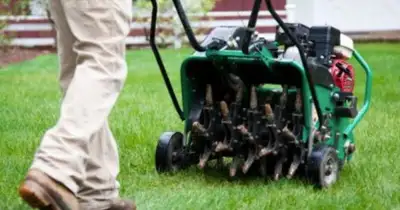 Affordable Weed Control and More by Mississauga Weed Control, View more