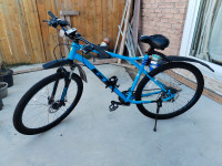 GT Mountain bike XL size frame, (29) in very good condition