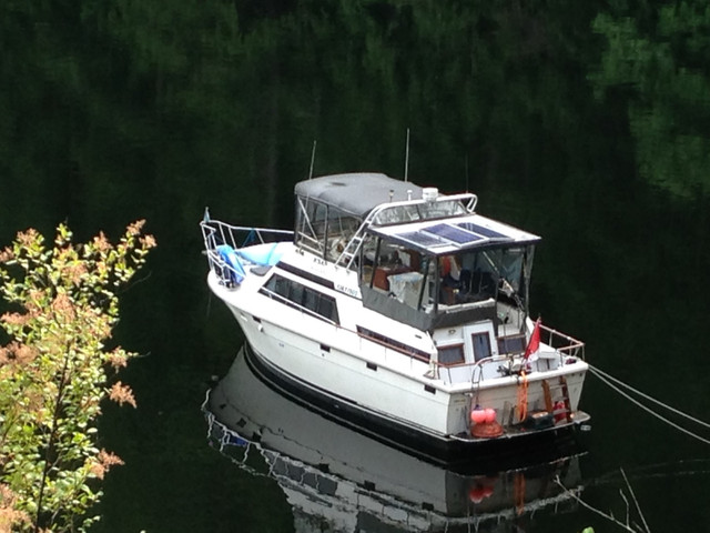 36 foot Trojan Coho power boat in Powerboats & Motorboats in Comox / Courtenay / Cumberland - Image 2