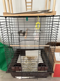 Bird cage with free bird play stand 