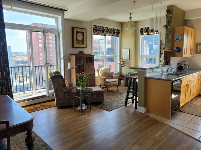FURNISHED ONE BED PLUS DEN APT DOWNTOWN HALIFAX! in Short Term Rentals in City of Halifax - Image 4