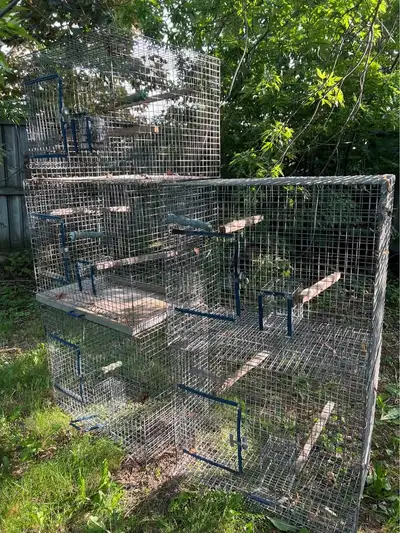 Spacious Wire Bird Cages (6 Available), View more