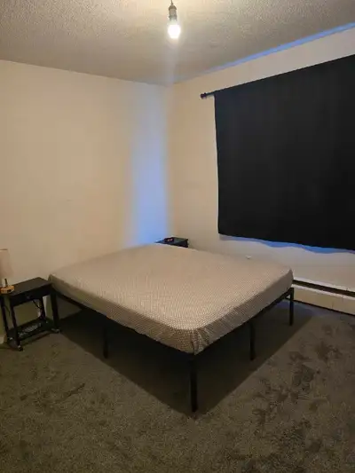 looking for roommate