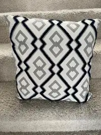 Set of 2 Decorative pillows, removable cover 