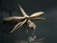 handmade japanese origami insects and spider 