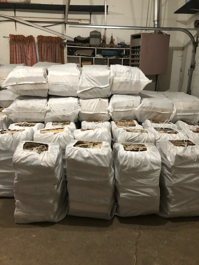 4 Huge Bags Dry Birch Firewood+Kindle+Free Delivery$180 in BBQs & Outdoor Cooking in St. Albert - Image 2