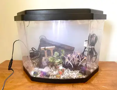 3 Gallon Fish Tank, View more