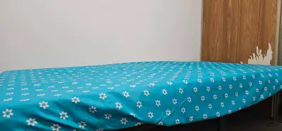 Roommate ( girl)