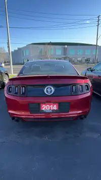 WANT TO BUY 2011-2014 Mustang 