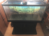 30 and 20 gallon tanks with tops