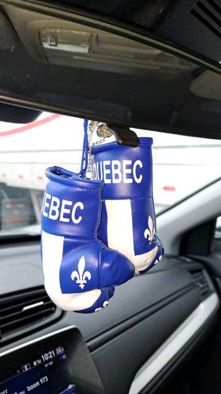 NEW - mini Quebec Boxing Gloves in Other in Oakville / Halton Region - Image 3