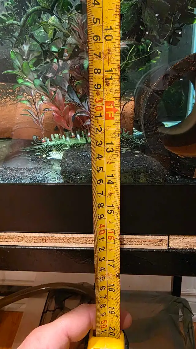 Complete Aquarium Setup – 60 Gallon Breeder + 30 gallon bonus in Accessories in Mississauga / Peel Region - Image 6