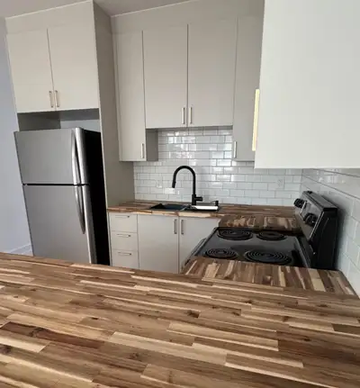 **Libre immédiatement** Rosemont-La Petite Patrie fraichement rénové premier occupant. Beau grand 3...