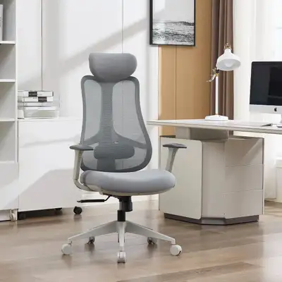 Nouhaus Fluido Ergonomic Office Chair , View more
