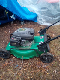 Gas mower