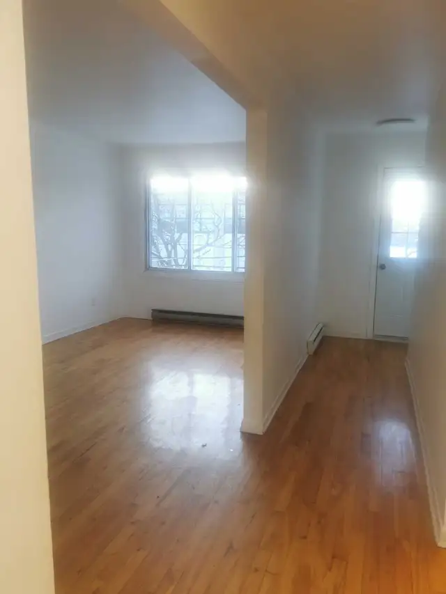 logement à louer
