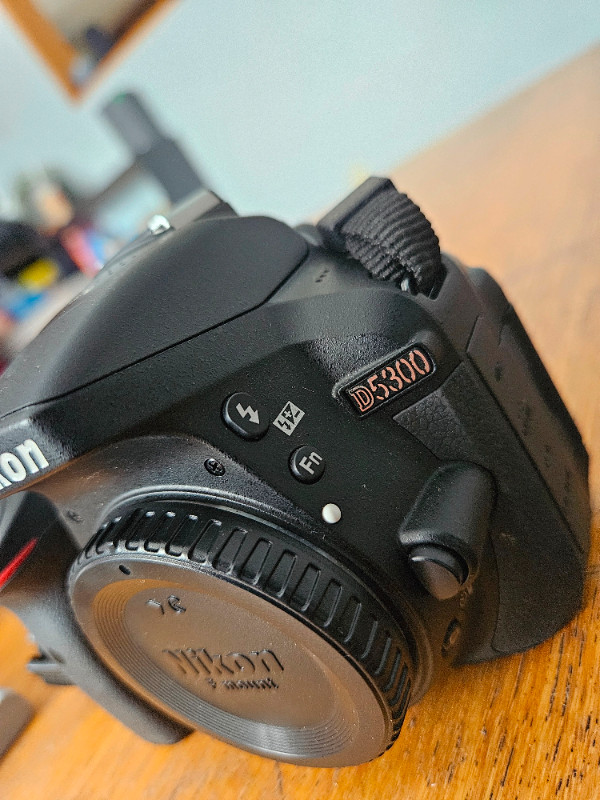 Nikon D5300 in Cameras & Camcorders in Thunder Bay - Image 3
