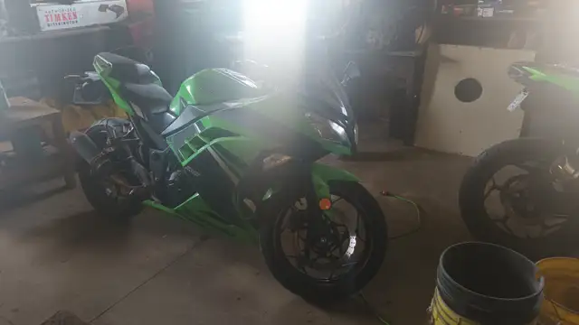 Ninja 300 special edition 2014 in Sport Bikes in Woodstock - Image 2
