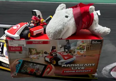 Mariokart Live Home Circuit, View more