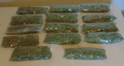 CATNIP FOR CATS THIS YEARS DRIED CATNIP $1.00 A BAG