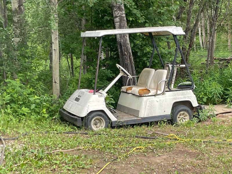 Yamaha gas golf cart Other Edmonton Kijiji