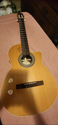 Brand new Pavlo guitar.  Located in Aurora