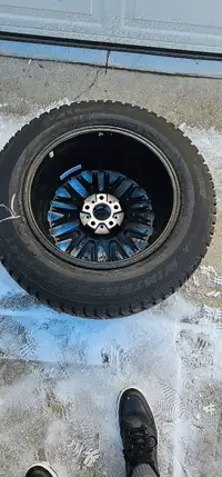 Audi/VW Brand new winter tires and rims