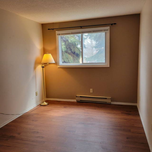 2 Beds 1 Bath Apartment in Long Term Rentals in Belleville - Image 4