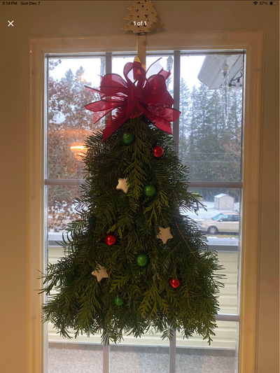 Christmas Tree - Fresh balsam/cedar $30, View more