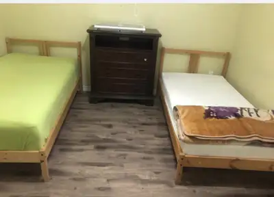 Three space available for rent in sharing from December 1st.very quiet basement apartment. Rent incl...