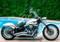 Harley-Davidson breakout 2014