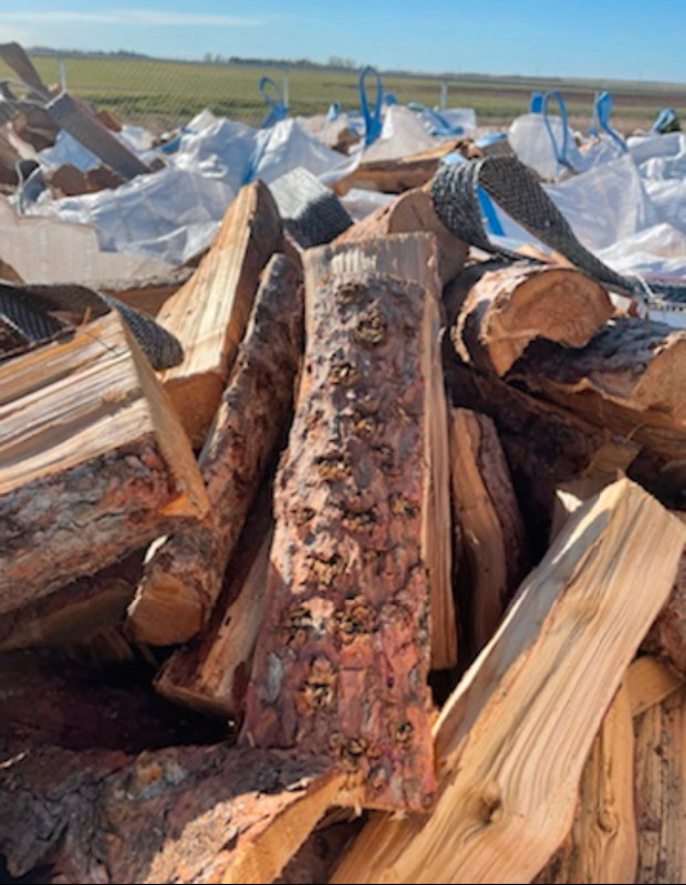 Firewood-Birch, Tamarack, Spuce and Poplar in BBQs & Outdoor Cooking in Regina - Image 4